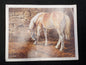 Chuck Burns Horse Print