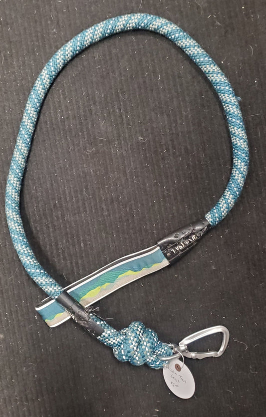 Jogger's Leash