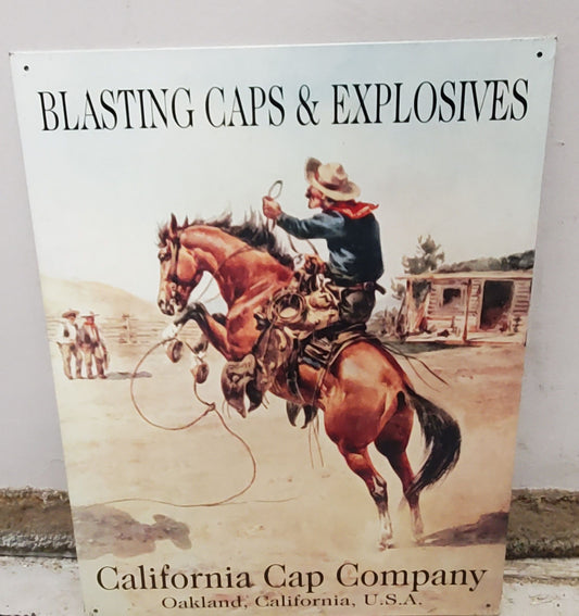 Collector Metal Sign