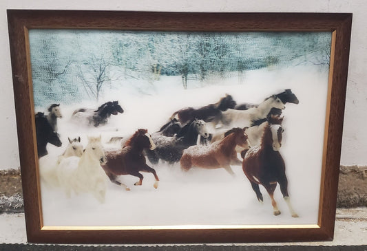 3D Horse Picture