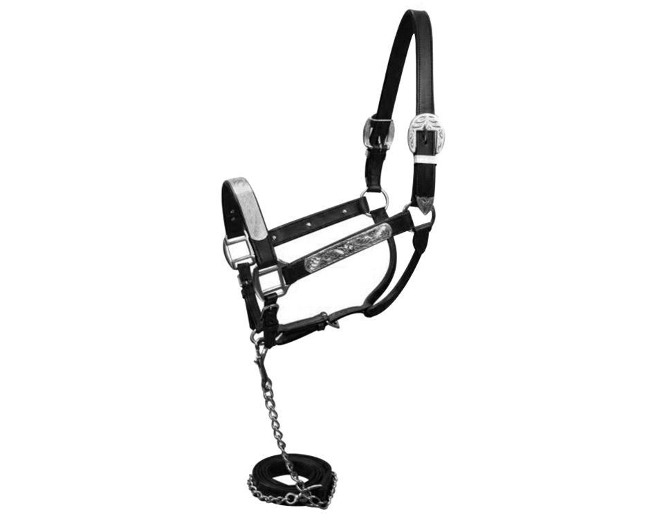 Horse Size Show Halter w/Matching Lead