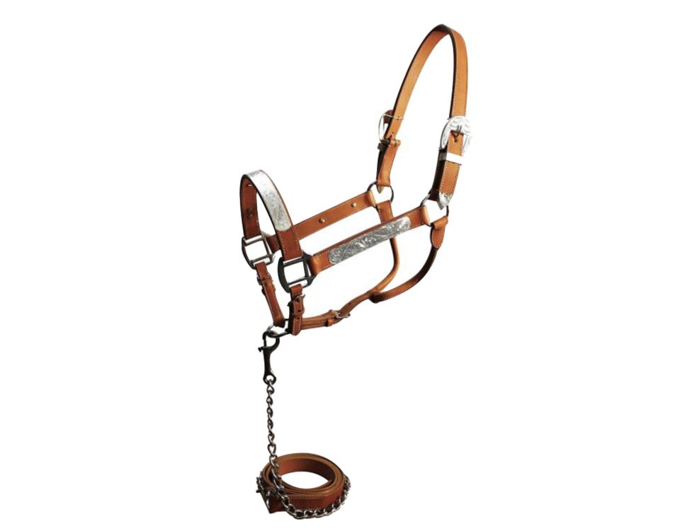 Horse Size Show Halter w/Matching Lead