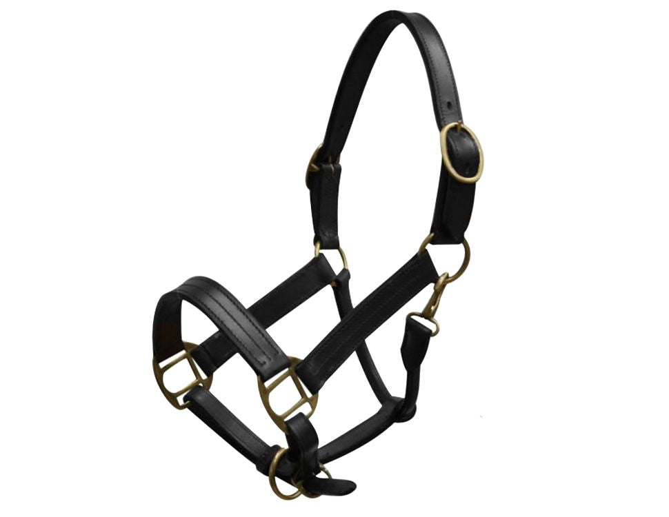 Yearling Size Black Leather Halter