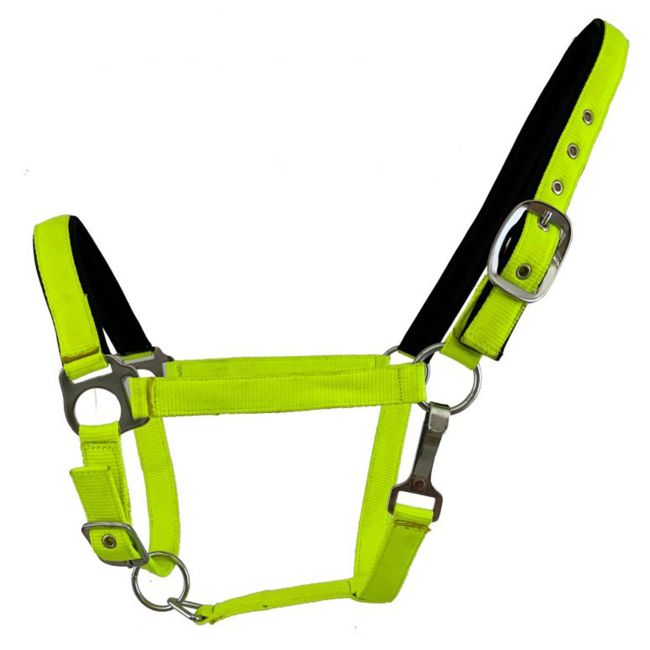Nylon Padded Fluorescent Halter- Horse