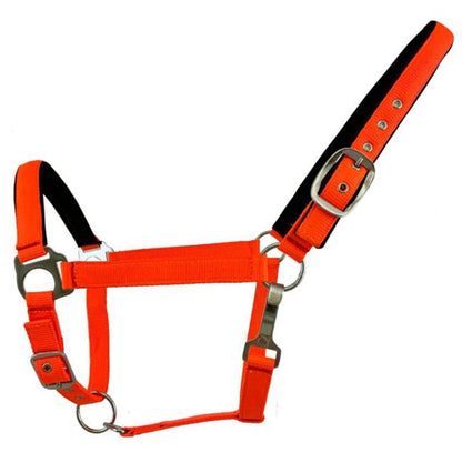 Nylon Padded Fluorescent Halter- Horse