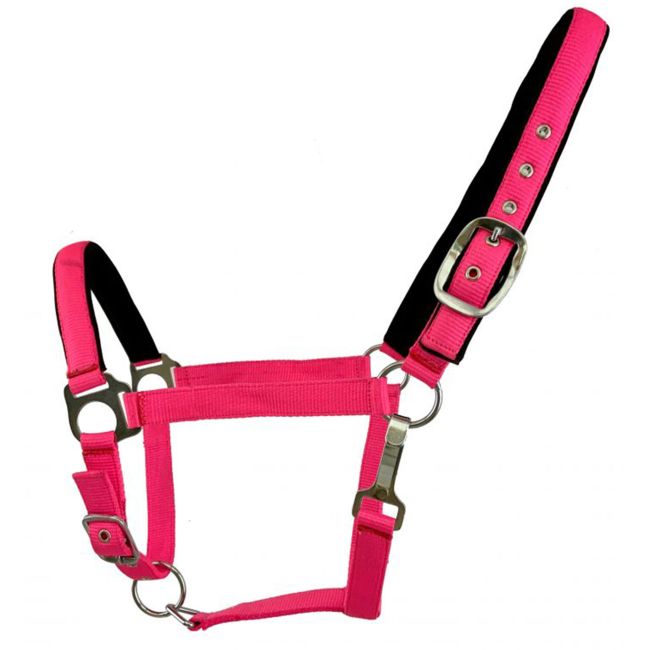 Nylon Padded Fluorescent Halter- Horse