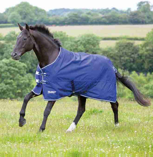 Tempest Plus Turnout