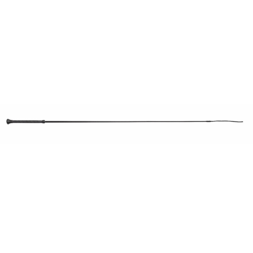 Dressage Whip