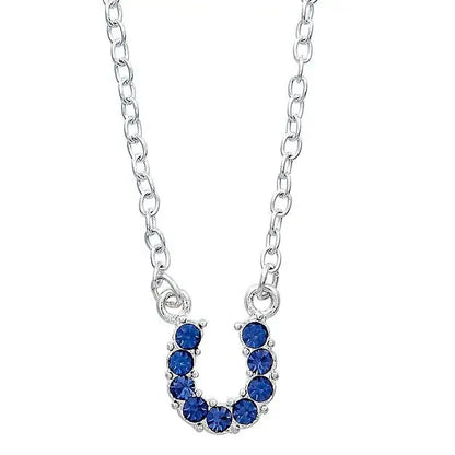 AWST Rhinestone Horseshoe Necklace