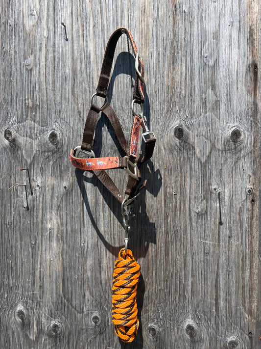 Nylon Pony Halter and Lead Set
