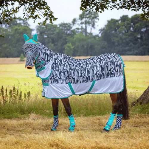 Tempest Original ZEB-TEK Flysheet