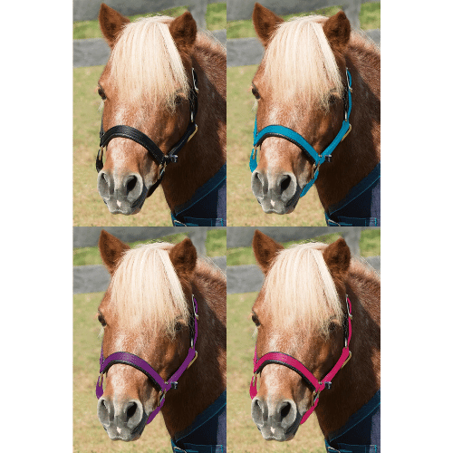 Shires Mini Topaz Halter