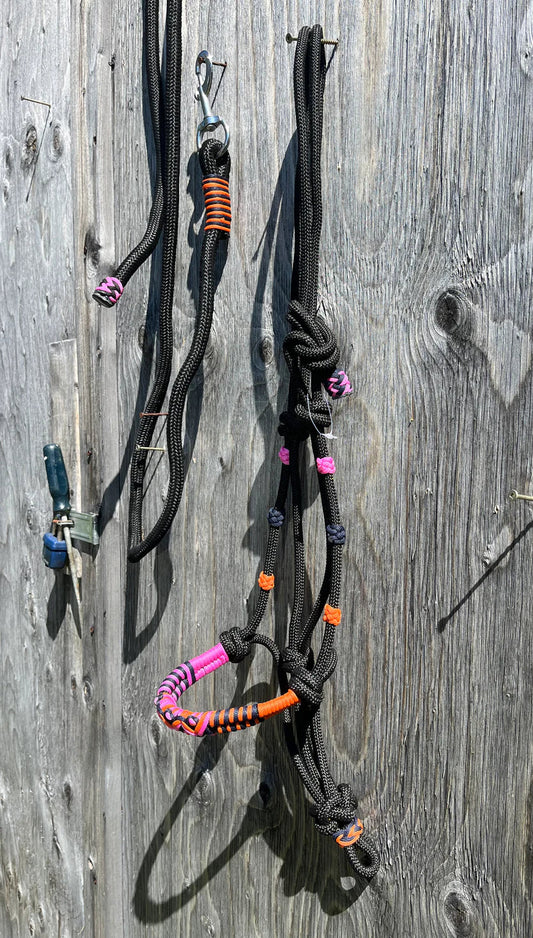 Rope Halter w/Pink+Orange Noseband