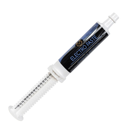 Electro Paste