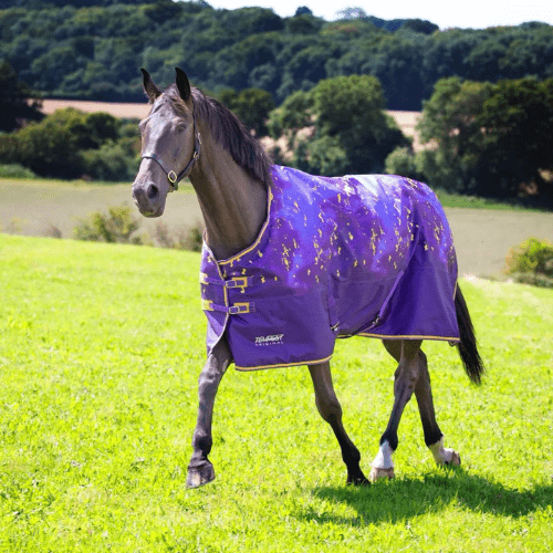 Tempest Original Lite Turnout- Amethyst