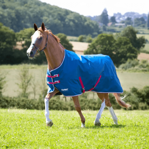 Tempest Original Lite Turnout-Teal