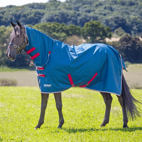 Tempest Original Lite Combo Turnout