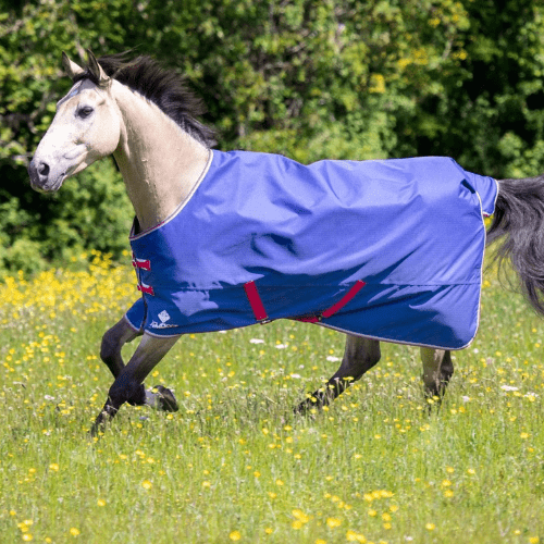 Tempest Original Air Motion Turnout