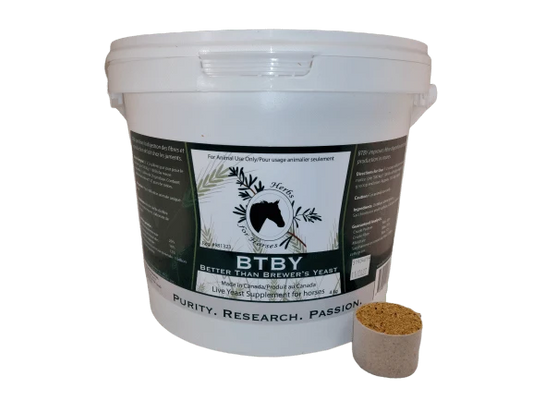 Herbs for Horses BTBY (Better Than Brewer's Yeast)