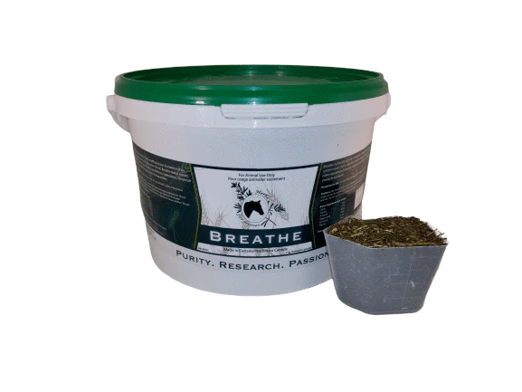 Herbs for Horses- Breathe w/Garlic- 1kg Cut Leaf