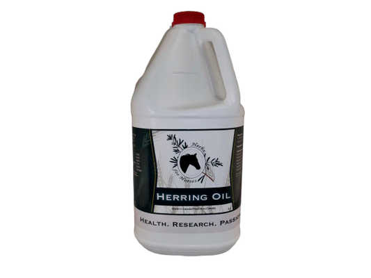 Herbs for Horses- Herring Oil (Omega 3)