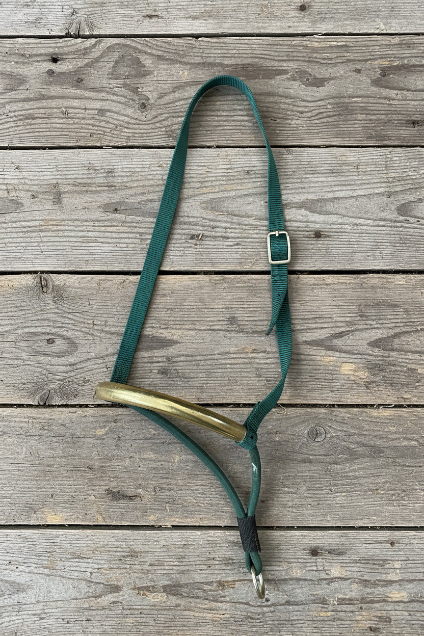 Green Nylon Tie Down