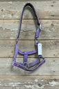 Purple Nylon Halter-Cob