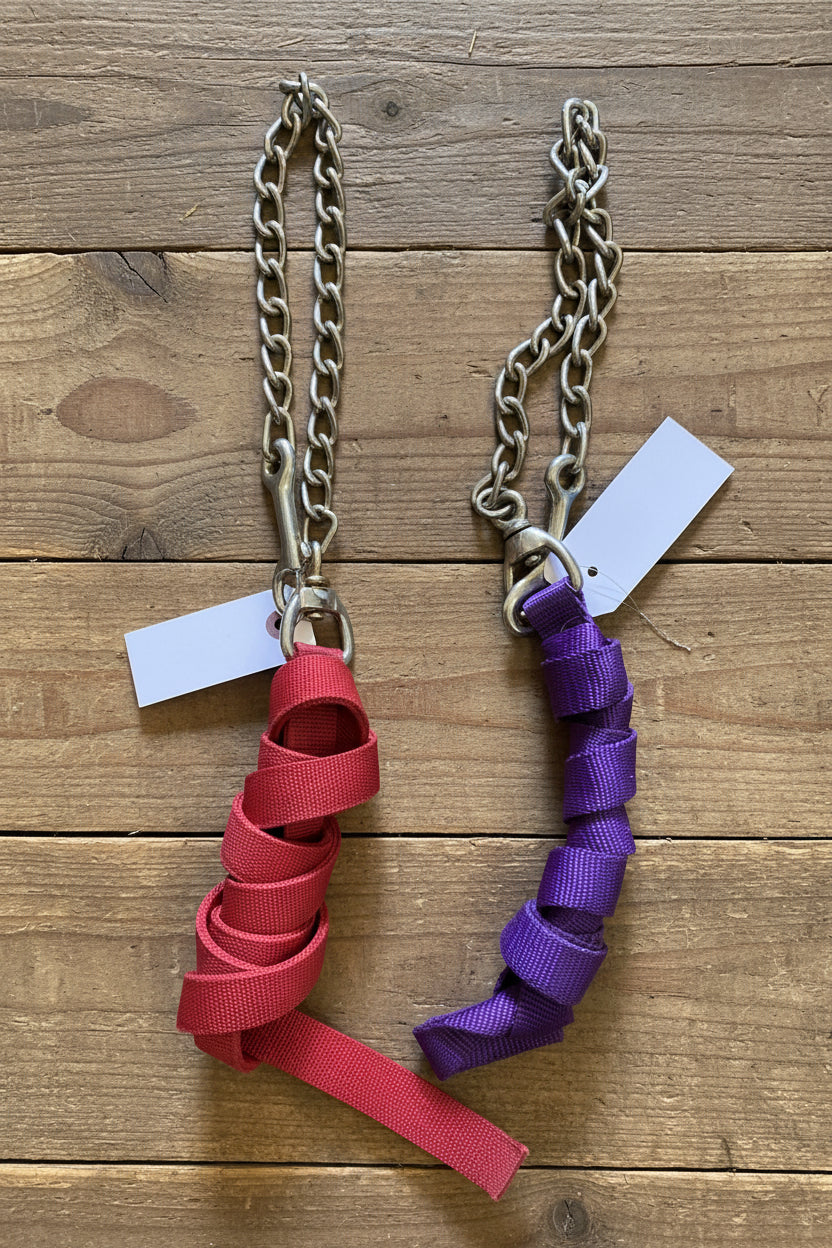 Nylon Lead w/Chain
