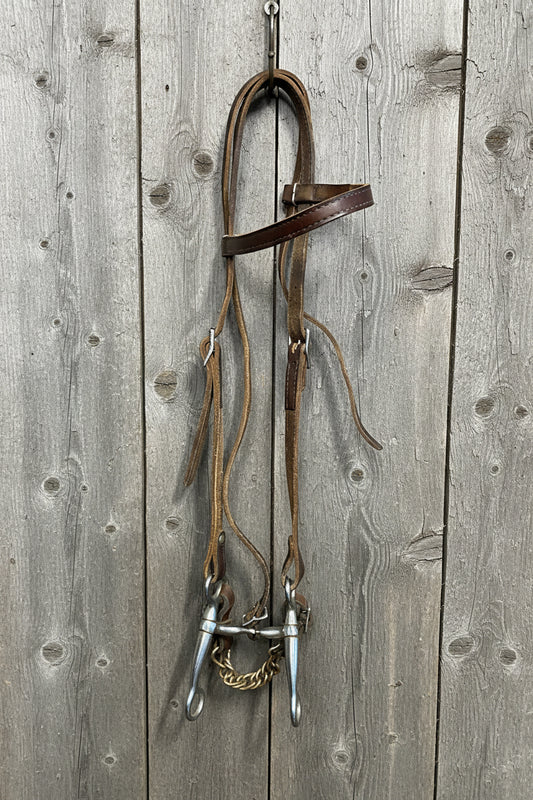 Headstall w/Bit