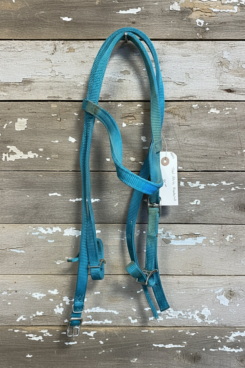 Teal Nylon Headstall