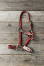 Pony Halter