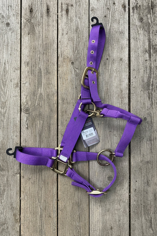 Ger-Ryan Pony Halter