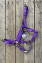 Ger-Ryan Pony Halter