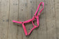 Neon Pink Cob Halter