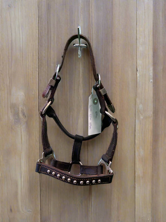 Leather Halter- Mini