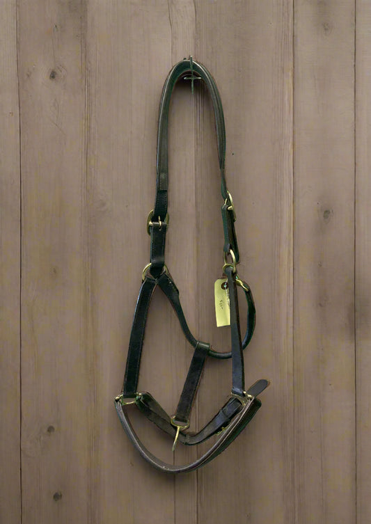 Val Du Bois Padded Leather Halter- Warmblood/Draft