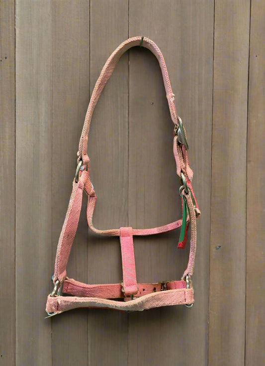 Nylon Halter-Cob