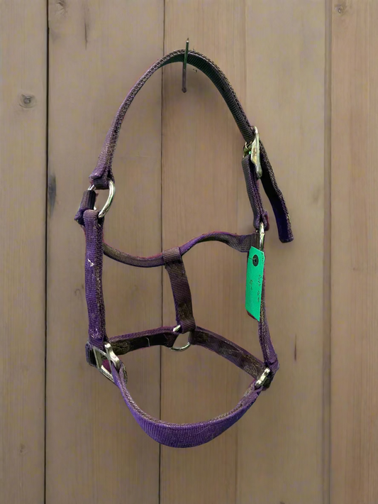 Nylon Halter- Cob