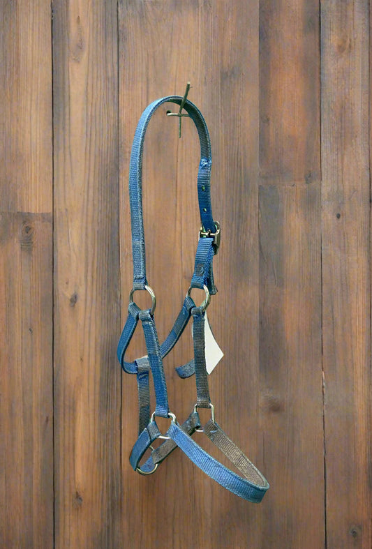 Nylon Halter- Foal