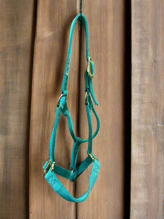 Nylon Halter- Horse
