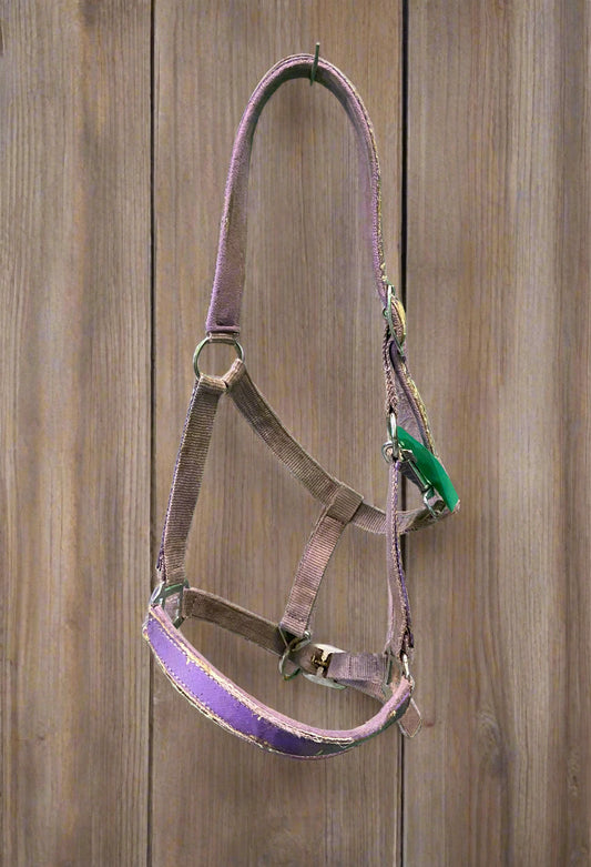 Nylon Halter-Horse