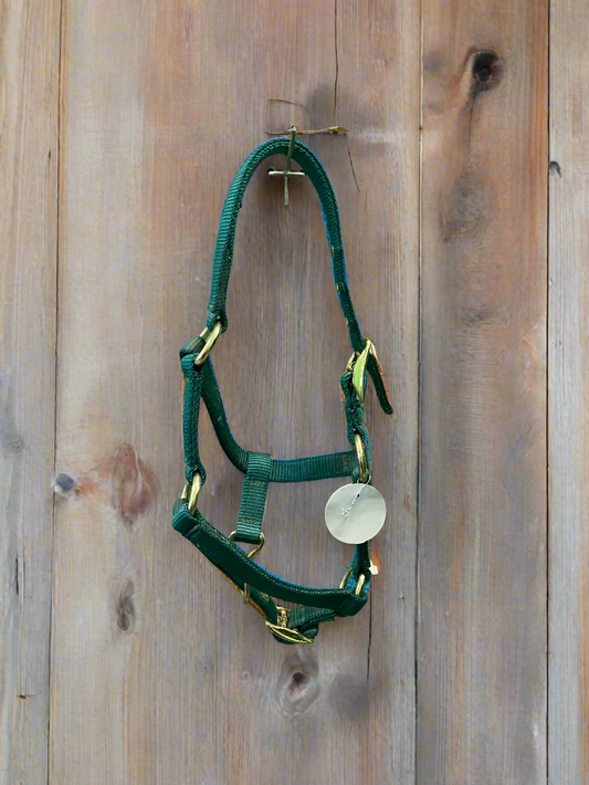 New! Nylon Halter- Mini/Foal
