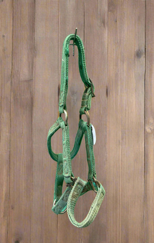 Nylon Halter-Foal
