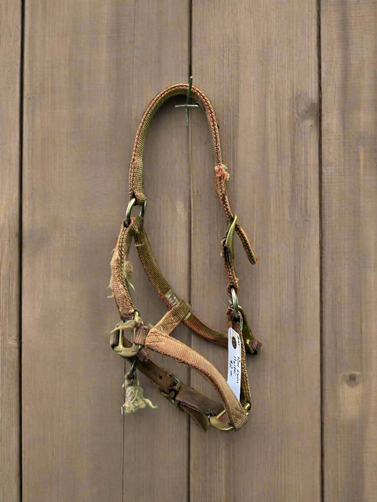 Nylon Halter-Pony