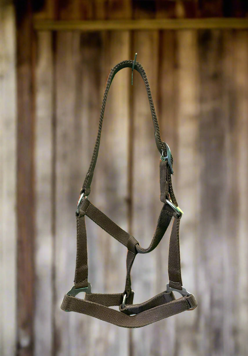 Nylon Halter- Cob
