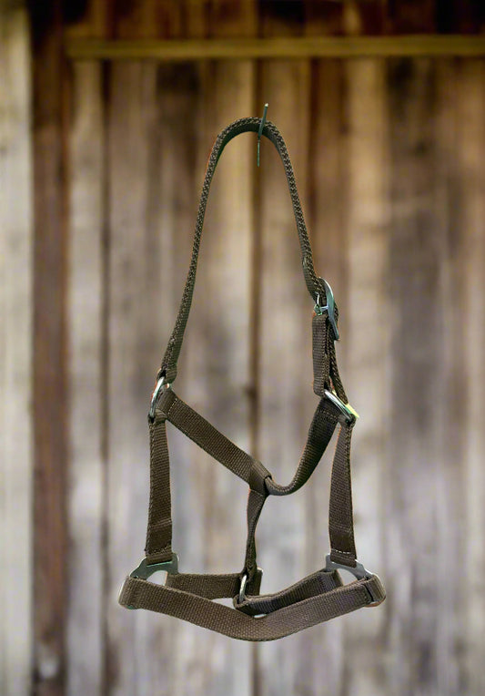 Nylon Halter- Cob