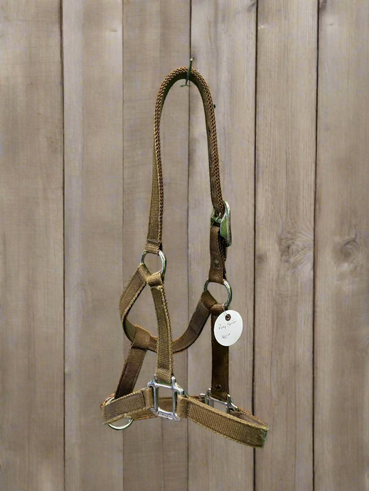 Nylon Halter-Pony
