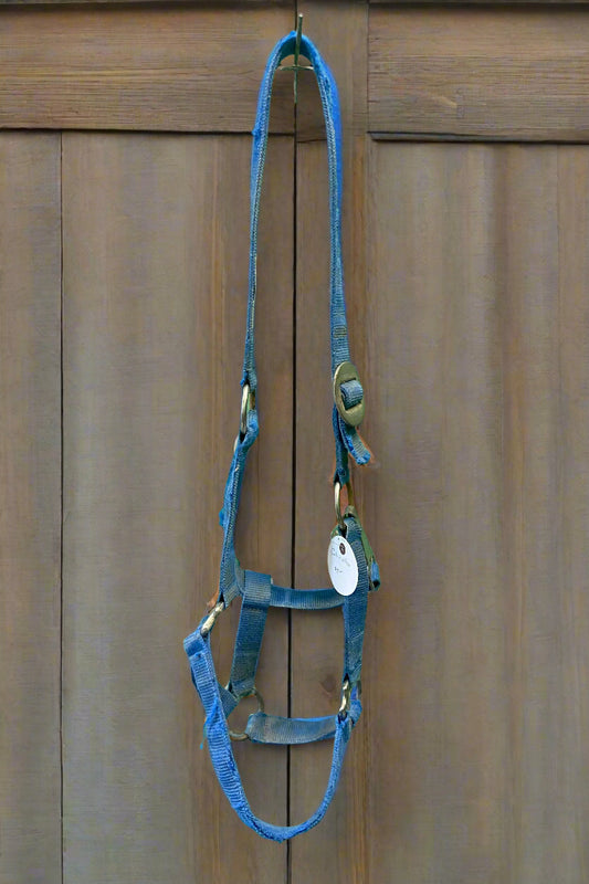 Nylon Halter- Cob