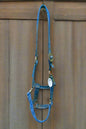 Nylon Halter- Cob