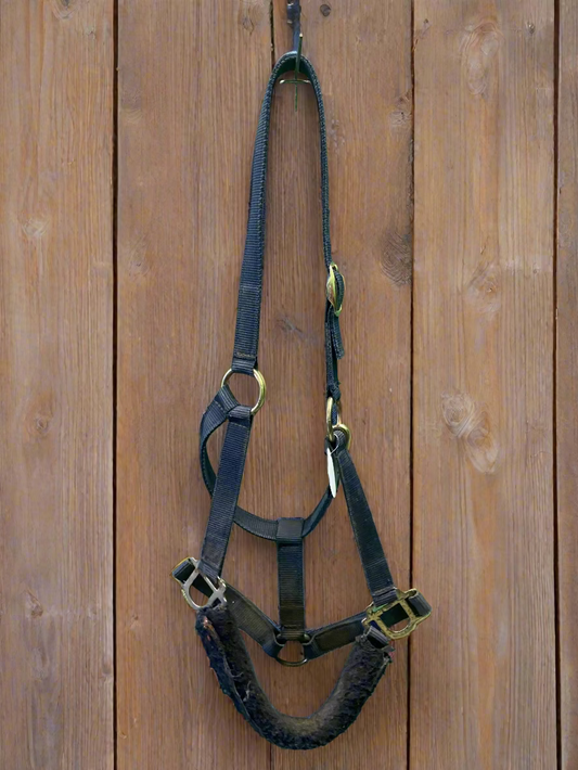 Nylon Halter- Horse
